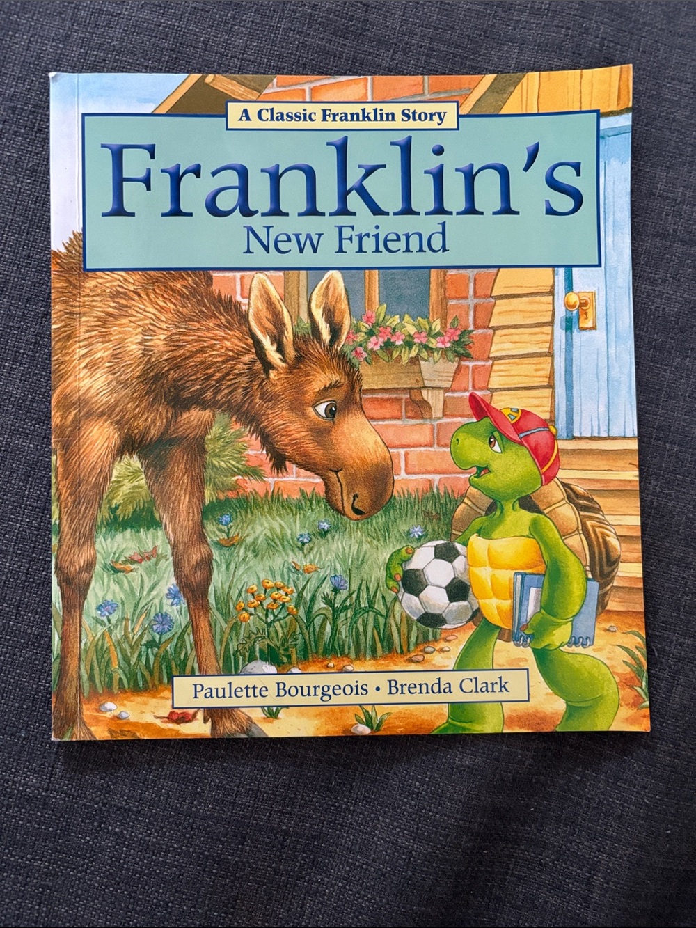Franklin's New Friend Children's Book - Green (NEW)